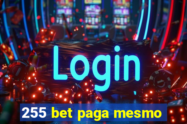 255 bet paga mesmo